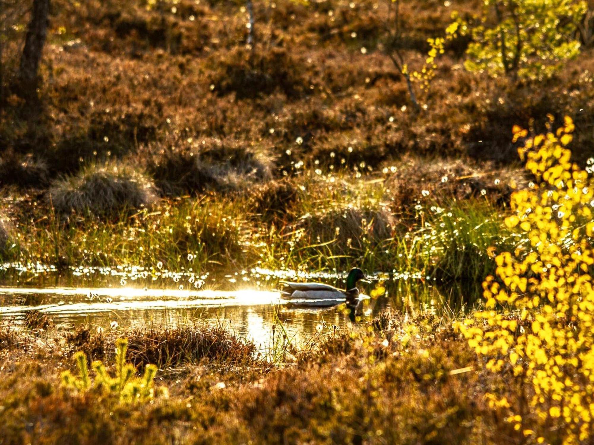 Berghotel Deutscher Flieger Wasserkuppe Gersfeld Exteriér fotografie